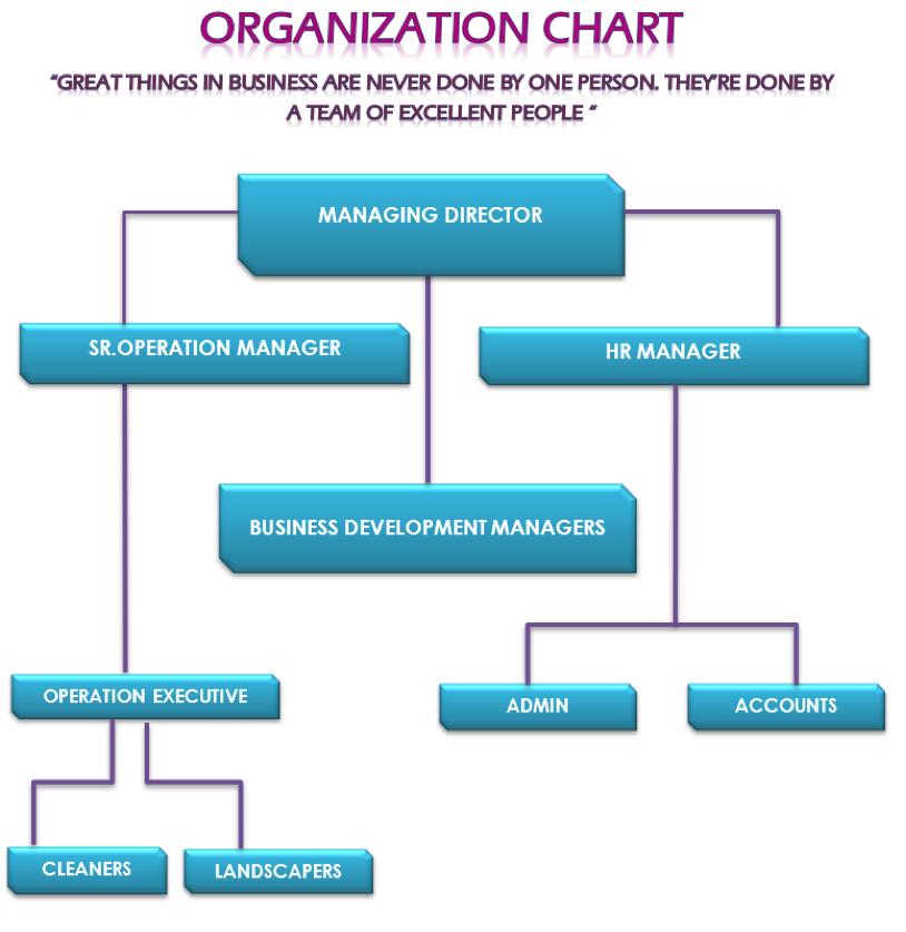 Organizational Chart – ACLS